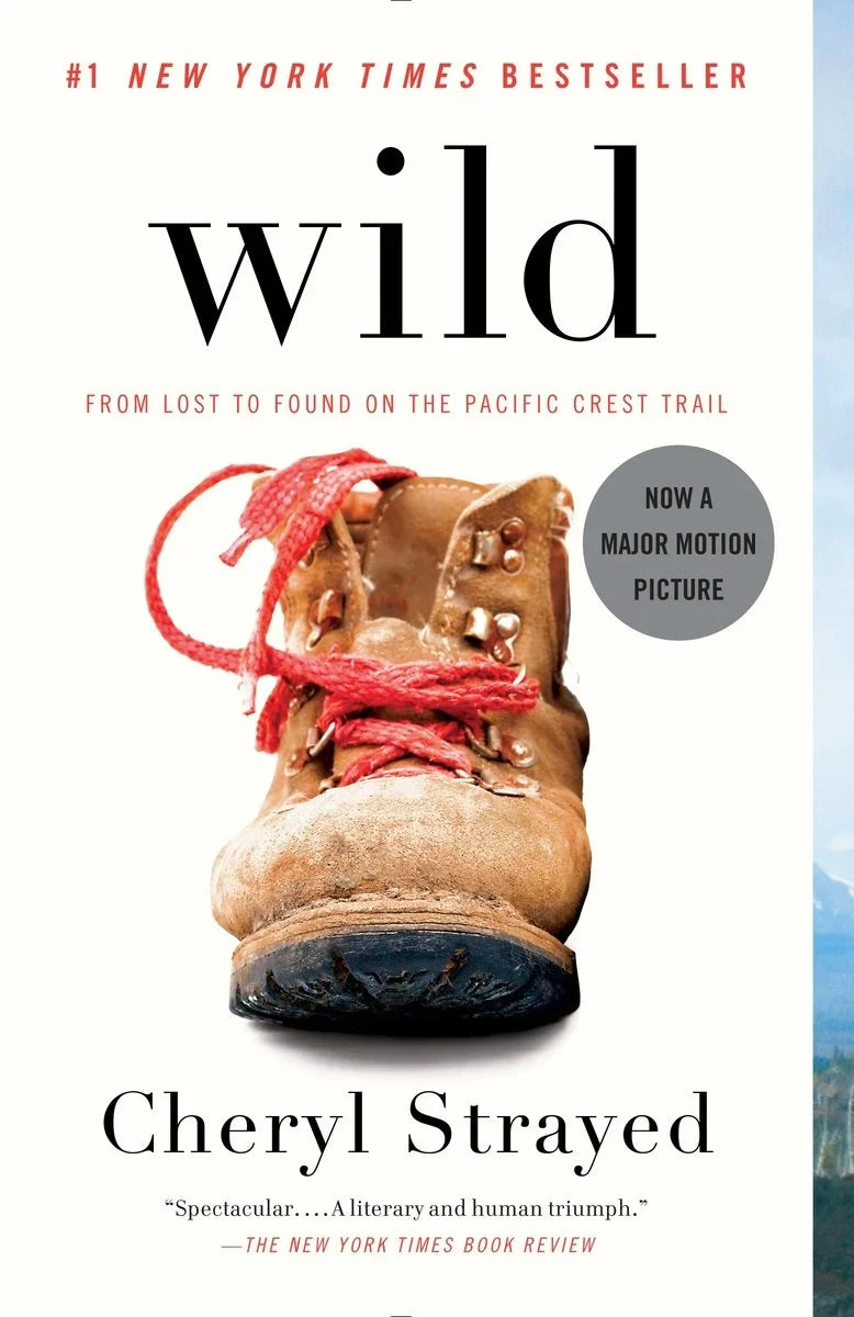 Summer Reads & Beach Books: 50+ Suggestions for Summertime (Part Seven)