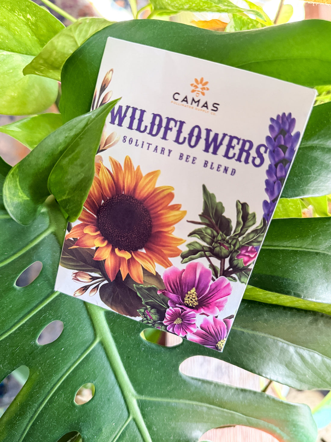 A little Gardening: 101 from Craft'n Pages
